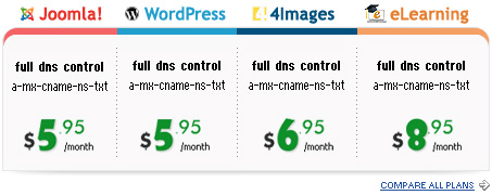 DNS check